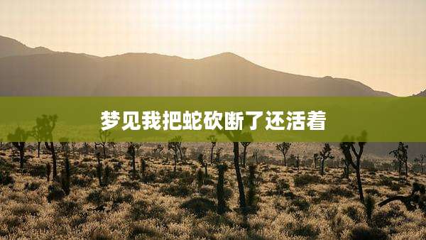 梦见我把蛇砍断了还活着