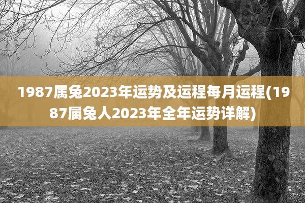1987属兔2023年运势及运程每月运程(1987属兔人2023年全年运势详解)