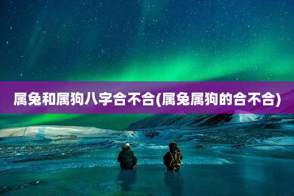 属兔和属狗八字合不合(属兔属狗的合不合)