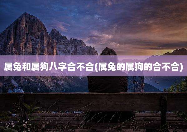 属兔和属狗八字合不合(属兔的属狗的合不合)
