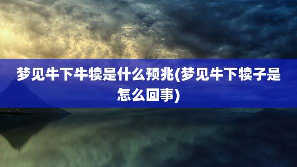 梦见牛下牛犊是什么预兆(梦见牛下犊子是怎么回事)