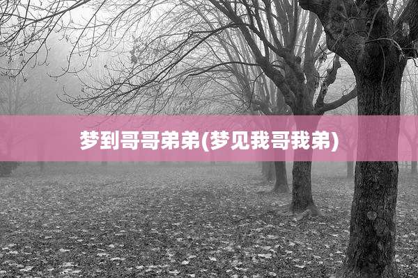 梦到哥哥弟弟(梦见我哥我弟)