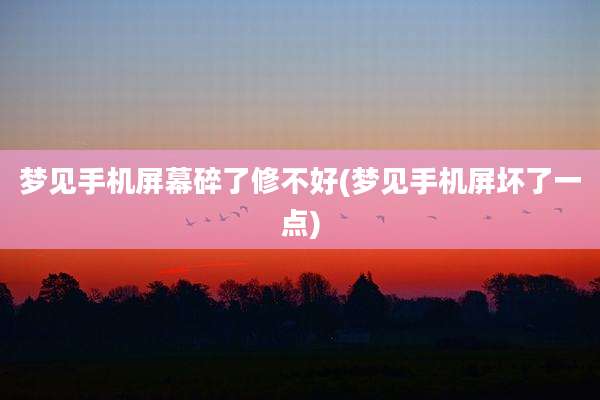 梦见手机屏幕碎了修不好(梦见手机屏坏了一点)