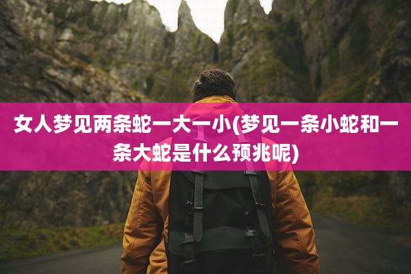 女人梦见两条蛇一大一小(梦见一条小蛇和一条大蛇是什么预兆呢)