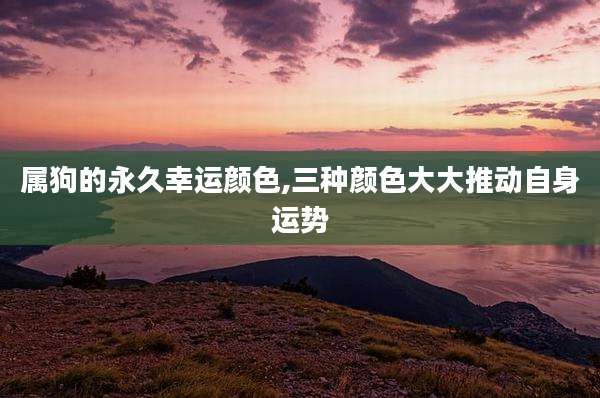 属狗的永久幸运颜色,三种颜色大大推动自身运势