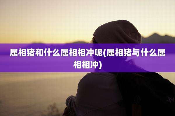 属相猪和什么属相相冲呢(属相猪与什么属相相冲)
