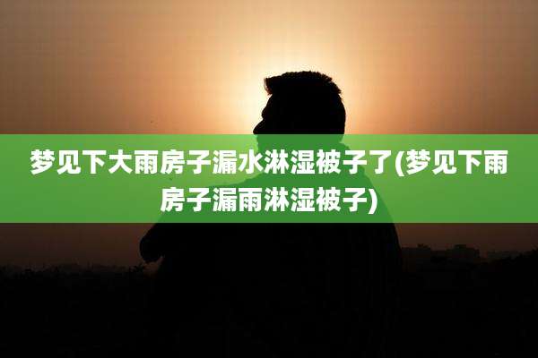 梦见下大雨房子漏水淋湿被子了(梦见下雨房子漏雨淋湿被子)