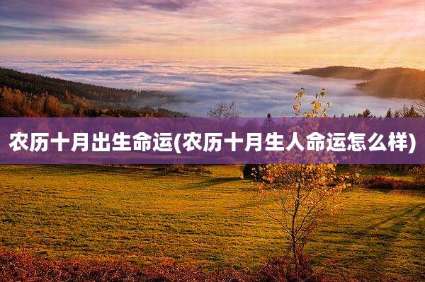 农历十月出生命运(农历十月生人命运怎么样)
