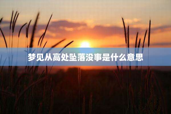 梦见从高处坠落没事是什么意思