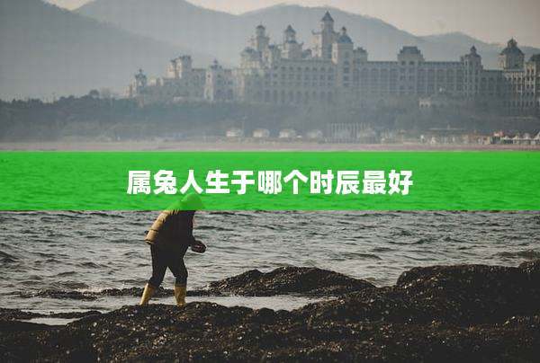 属兔人生于哪个时辰最好