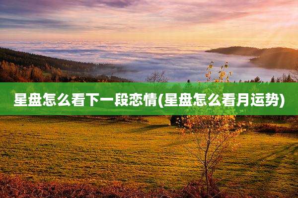 星盘怎么看下一段恋情(星盘怎么看月运势)