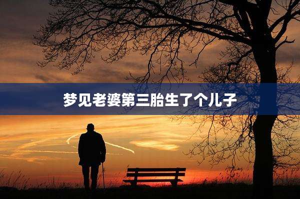 梦见老婆第三胎生了个儿子