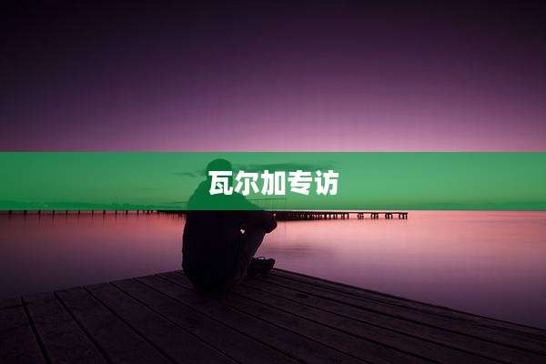 瓦尔加专访