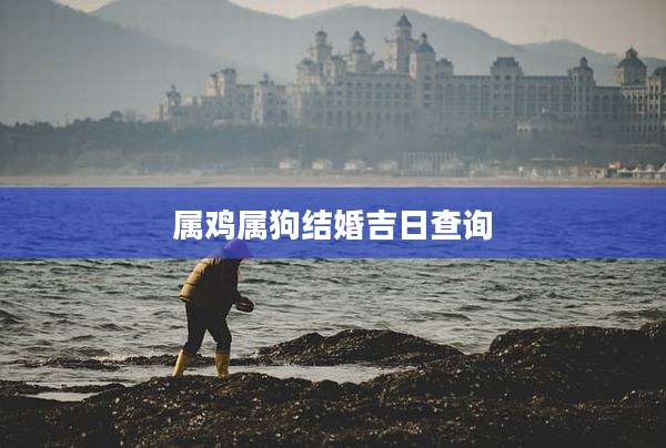 属鸡属狗结婚吉日查询
