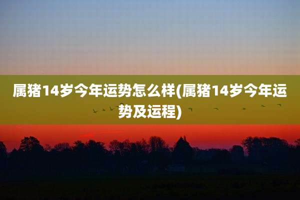 属猪14岁今年运势怎么样(属猪14岁今年运势及运程)
