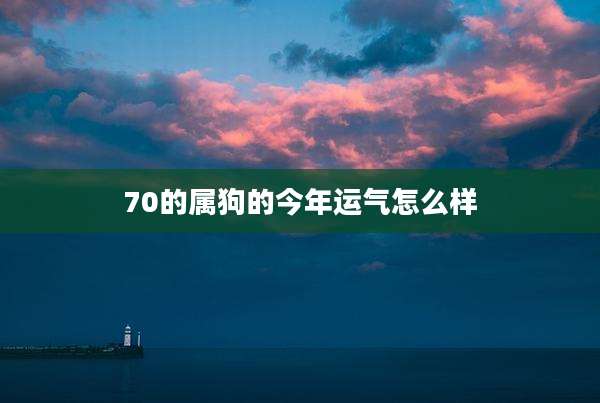 70的属狗的今年运气怎么样