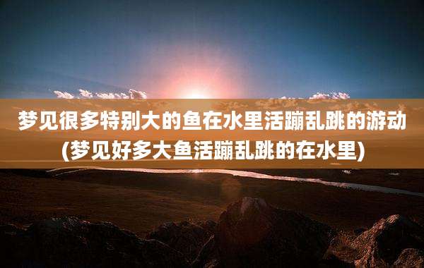 梦见很多特别大的鱼在水里活蹦乱跳的游动(梦见好多大鱼活蹦乱跳的在水里)