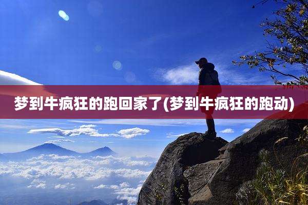 梦到牛疯狂的跑回家了(梦到牛疯狂的跑动)