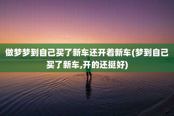 做梦梦到自己买了新车还开着新车(梦到自己买了新车,开的还挺好)