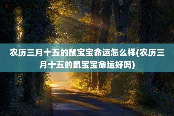 农历三月十五的鼠宝宝命运怎么样(农历三月十五的鼠宝宝命运好吗)