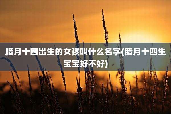 腊月十四出生的女孩叫什么名字(腊月十四生宝宝好不好)