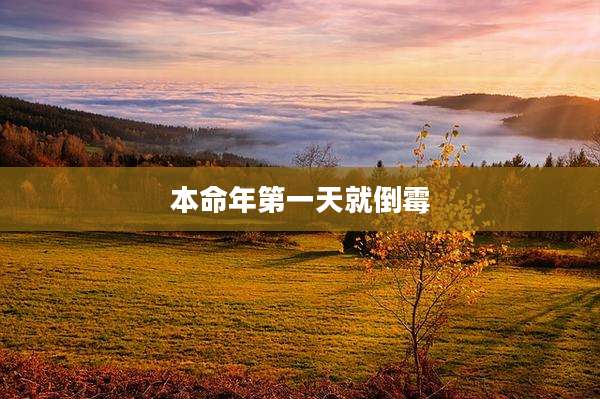 本命年第一天就倒霉