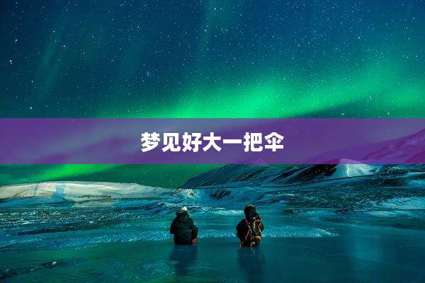 梦见好大一把伞