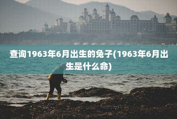 查询1963年6月出生的兔子(1963年6月出生是什么命)