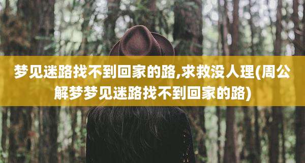 梦见迷路找不到回家的路,求救没人理(周公解梦梦见迷路找不到回家的路)