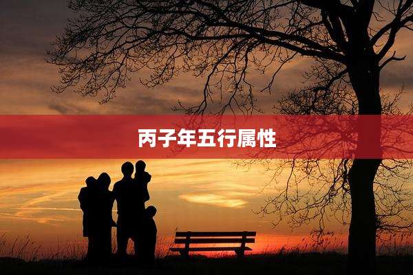 丙子年五行属性
