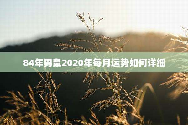 84年男鼠2020年每月运势如何详细