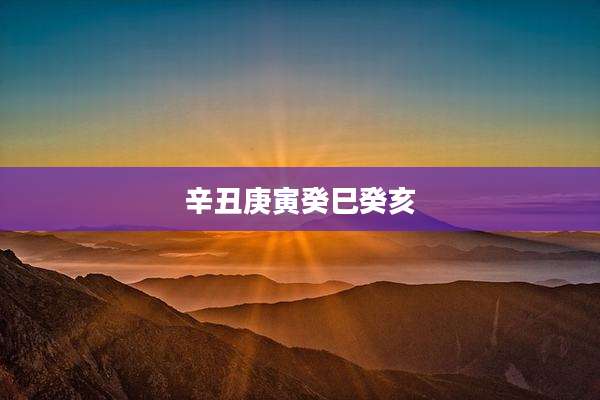 辛丑庚寅癸巳癸亥