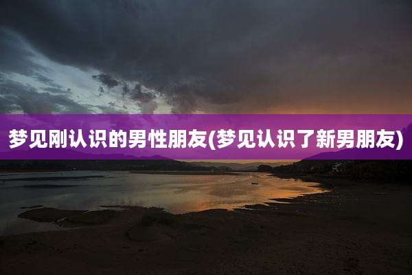 梦见刚认识的男性朋友(梦见认识了新男朋友)