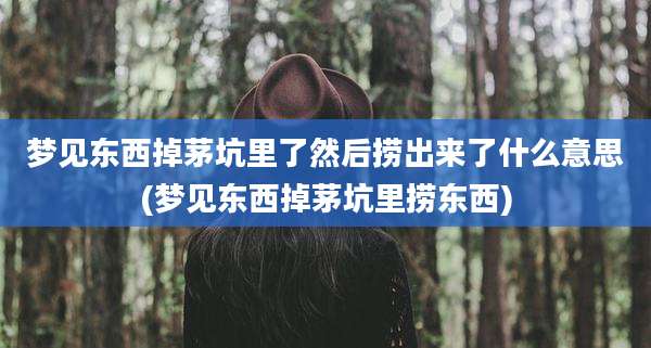 梦见东西掉茅坑里了然后捞出来了什么意思(梦见东西掉茅坑里捞东西)