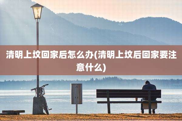 清明上坟回家后怎么办(清明上坟后回家要注意什么)