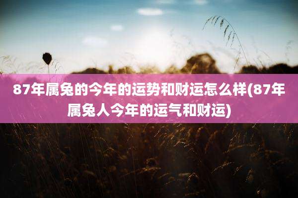 87年属兔的今年的运势和财运怎么样(87年属兔人今年的运气和财运)