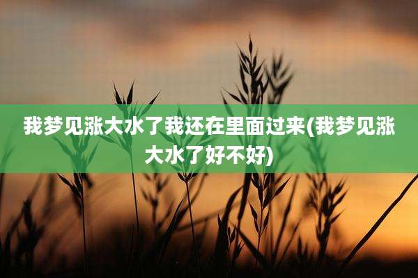 我梦见涨大水了我还在里面过来(我梦见涨大水了好不好)