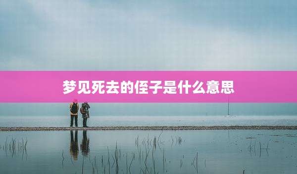 梦见死去的侄子是什么意思