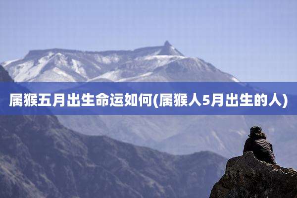 属猴五月出生命运如何(属猴人5月出生的人)