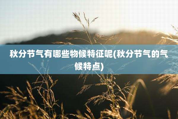 秋分节气有哪些物候特征呢(秋分节气的气候特点)