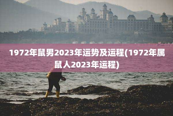 1972年鼠男2023年运势及运程(1972年属鼠人2023年运程)