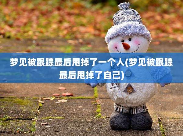 梦见被跟踪最后甩掉了一个人(梦见被跟踪最后甩掉了自己)
