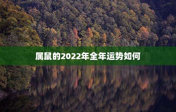属鼠的2022年全年运势如何