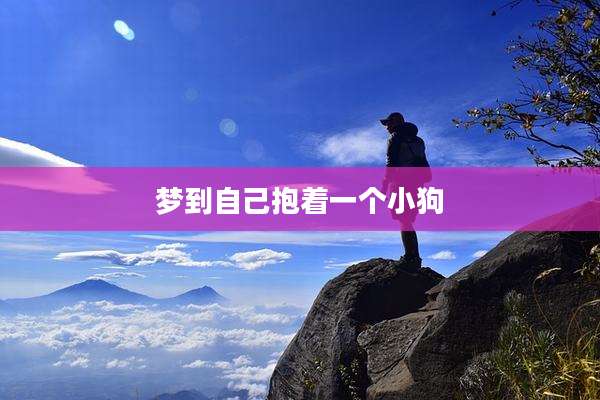 梦到自己抱着一个小狗