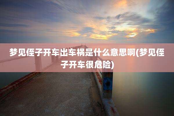 梦见侄子开车出车祸是什么意思啊(梦见侄子开车很危险)