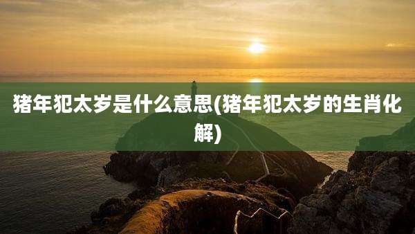 猪年犯太岁是什么意思(猪年犯太岁的生肖化解)