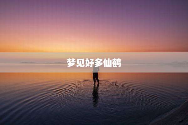 梦见好多仙鹤