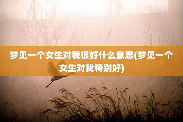 梦见一个女生对我很好什么意思(梦见一个女生对我特别好)