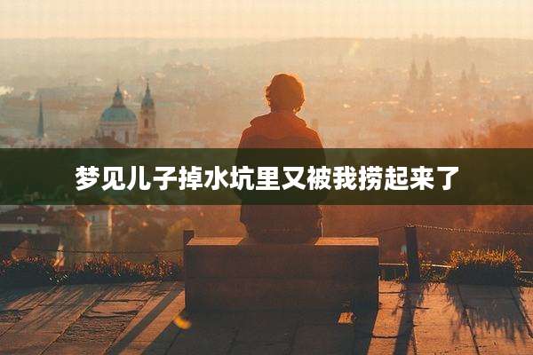 梦见儿子掉水坑里又被我捞起来了