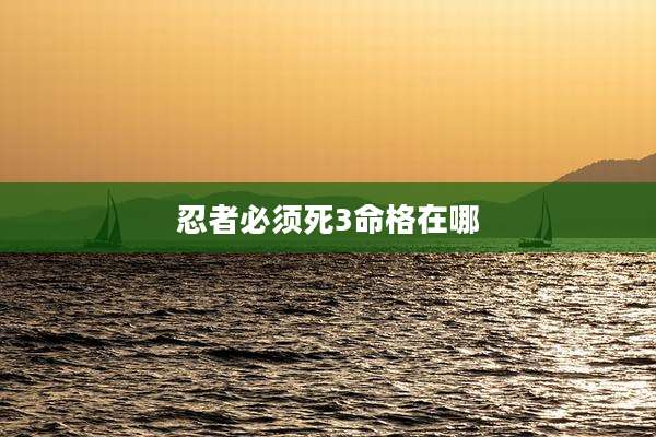 忍者必须死3命格在哪